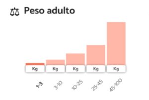 Venta de Cachorros en Bogotá