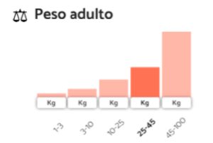 Venta de Cachorros en Bogotá