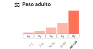 Venta de Cachorros en Bogotá